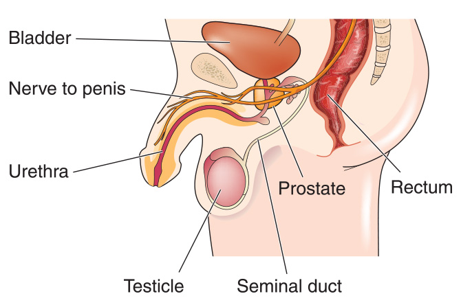ahol a prostatitis fájdalma van