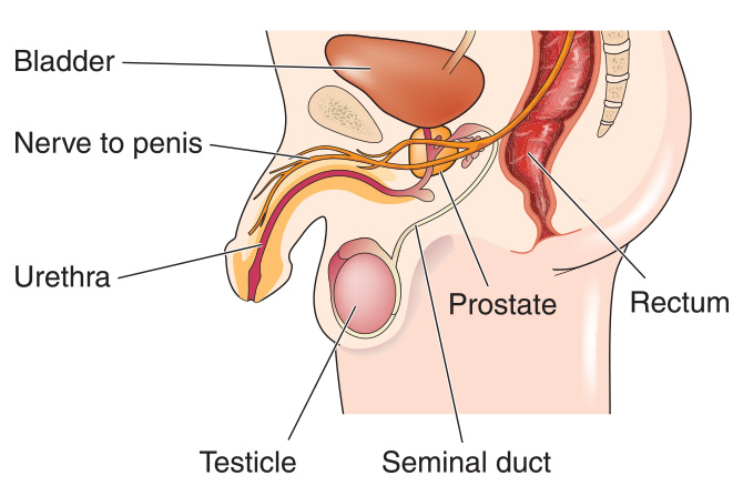 amikor a prostatitis áthalad