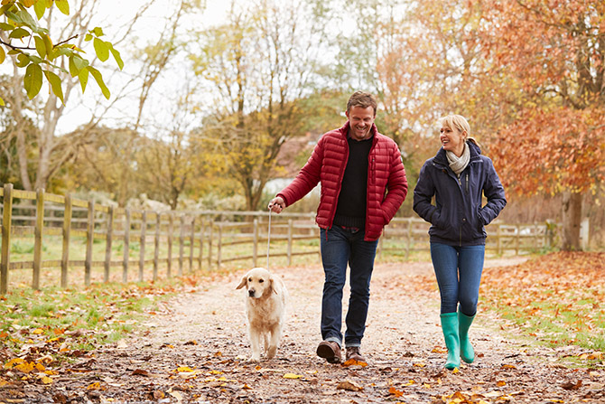 walking exercise health