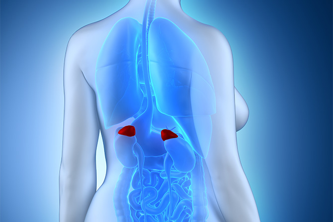 problem with adrenal glands
