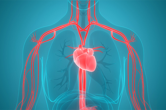 Retatrutide Injection Cardiovascular system | Shaanxi BLOOM Tech Co., Ltd Retatrutide Injection Cardiovascular system | Shaanxi BLOOM Tech Co., Ltd