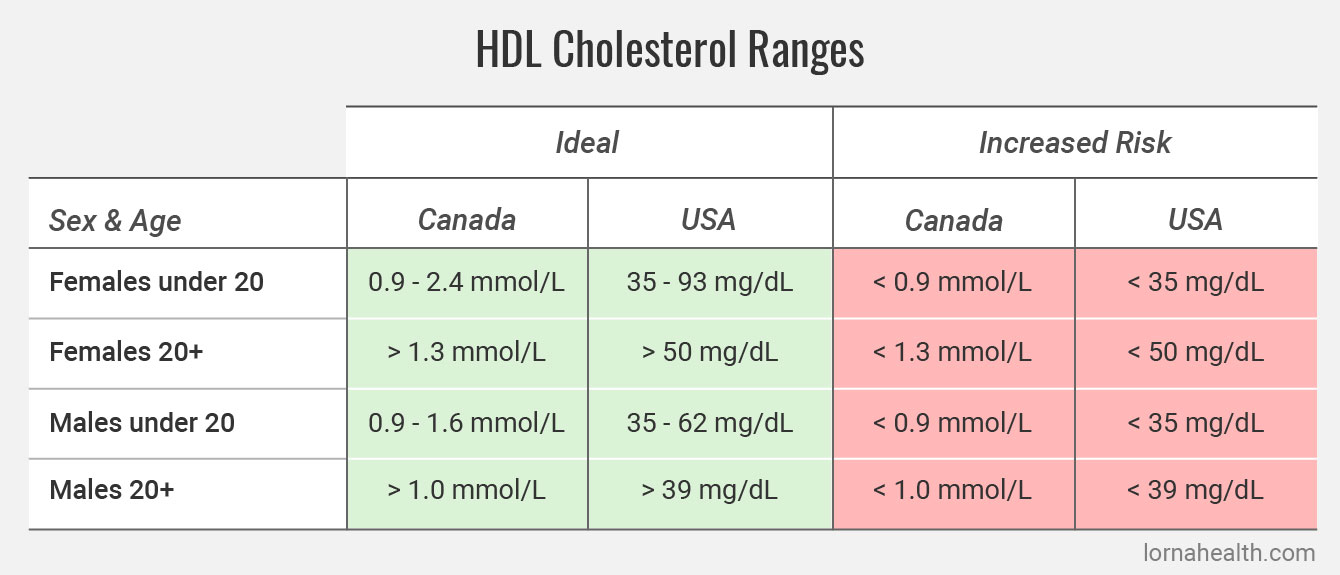 Cholesterol Normal Range at Jesica Heath blog